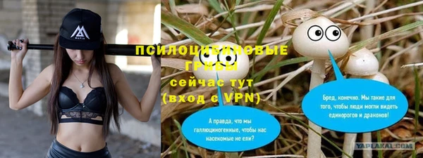 винт Медвежьегорск