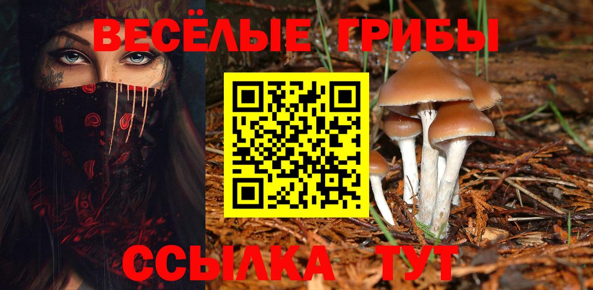 Надым  Псилоцибиновые грибы мицелий  Вход с VPN 
